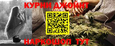 гидра Ефремов