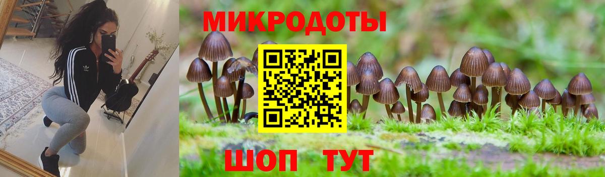 Псилоцибиновые грибы мухоморы Лесной